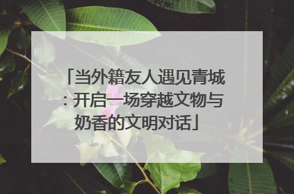 当外籍友人遇见青城：开启一场穿越文物与奶香的文明对话