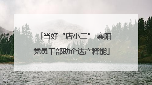 当好“店小二” 襄阳党员干部助企达产释能