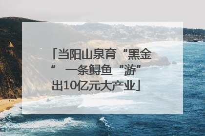 当阳山泉育“黑金” 一条鲟鱼“游”出10亿元大产业