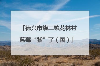 德兴市绕二镇花林村蓝莓“紫”了（图）