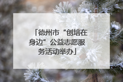 德州市“创培在身边”公益志愿服务活动举办