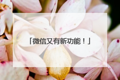 微信又有新功能！