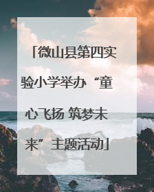 微山县第四实验小学举办“童心飞扬 筑梦未来”主题活动