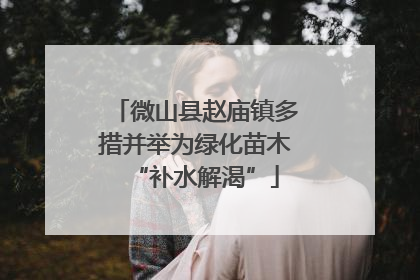 微山县赵庙镇多措并举为绿化苗木“补水解渴”