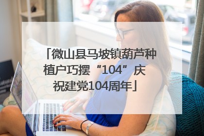 微山县马坡镇葫芦种植户巧摆“104”庆祝建党104周年