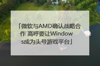 微软与AMD确认战略合作 高呼要让Windows成为头号游戏平台