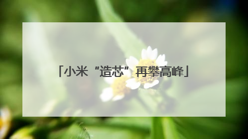 小米“造芯”再攀高峰
