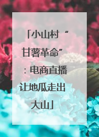小山村“甘薯革命”：电商直播让地瓜走出大山