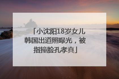小沈阳18岁女儿韩国出道照曝光，被指撞脸孔孝真
