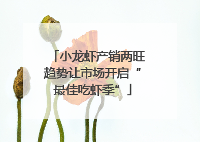 小龙虾产销两旺趋势让市场开启“最佳吃虾季”