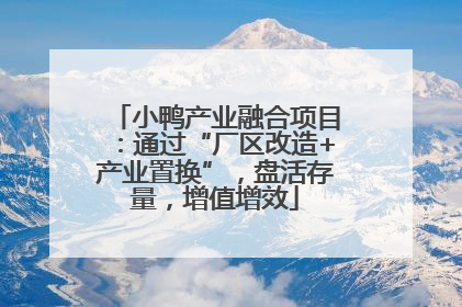 小鸭产业融合项目：通过“厂区改造+产业置换”，盘活存量，增值增效