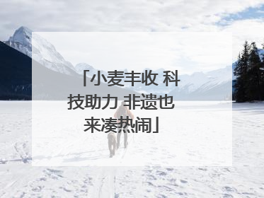 小麦丰收 科技助力 非遗也来凑热闹