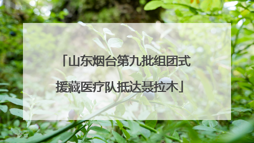 山东烟台第九批组团式援藏医疗队抵达聂拉木