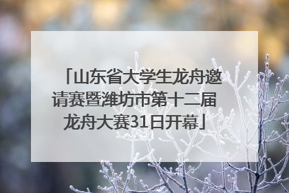 山东省大学生龙舟邀请赛暨潍坊市第十二届龙舟大赛31日开幕