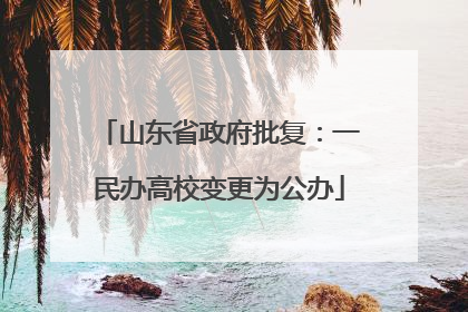 山东省政府批复：一民办高校变更为公办