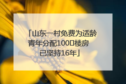 山东一村免费为适龄青年分配100㎡楼房 已坚持16年