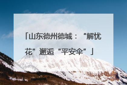 山东德州德城：“解忧花”邂逅“平安伞”
