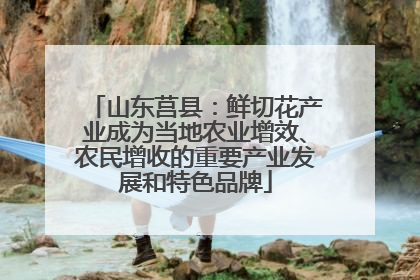 山东莒县：鲜切花产业成为当地农业增效、农民增收的重要产业发展和特色品牌