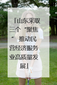 山东采取三个“聚焦” 推动民营经济服务业高质量发展