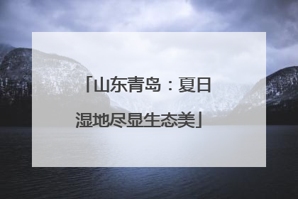 山东青岛：夏日湿地尽显生态美