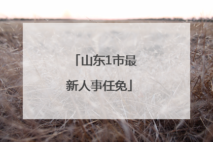 山东1市最新人事任免