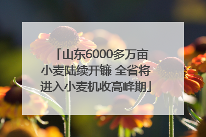 山东6000多万亩小麦陆续开镰 全省将进入小麦机收高峰期