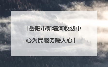 岳阳市新墙河收费中心为民服务暖人心