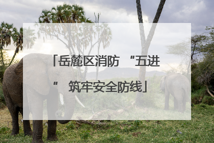 岳麓区消防 “五进” 筑牢安全防线