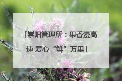 崇阳管理所：果香漫高速 爱心“鲜”万里