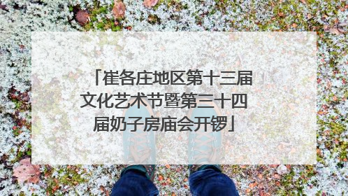 崔各庄地区第十三届文化艺术节暨第三十四届奶子房庙会开锣