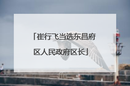 崔行飞当选东昌府区人民政府区长