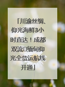 川渝丝绸、仰光海鲜3小时直达！成都双流⇌缅甸仰光全货运航线开通