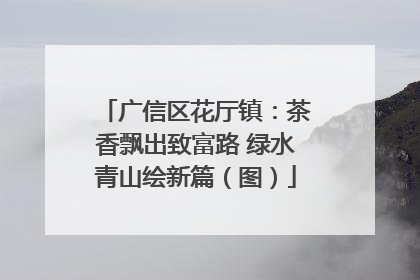 广信区花厅镇：茶香飘出致富路 绿水青山绘新篇（图）