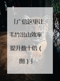 广信这里让毛竹出山效率提升数十倍（图）