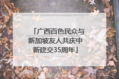 广西百色民众与新加坡友人共庆中新建交35周年