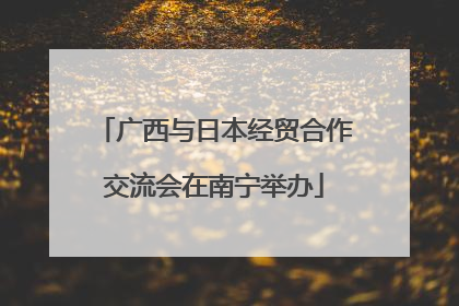 广西与日本经贸合作交流会在南宁举办