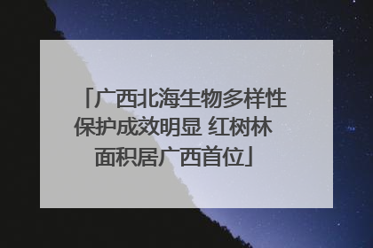 广西北海生物多样性保护成效明显 红树林面积居广西首位