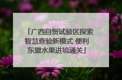 广西自贸试验区探索智慧查验新模式 便利东盟水果进境通关
