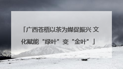 广西苍梧以茶为媒促振兴 文化赋能“绿叶”变“金叶”