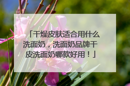 干燥皮肤适合用什么洗面奶，洗面奶品牌干皮洗面奶哪款好用！