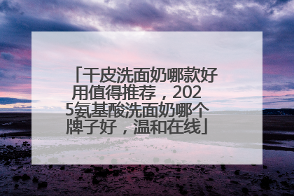 干皮洗面奶哪款好用值得推荐，2025氨基酸洗面奶哪个牌子好，温和在线