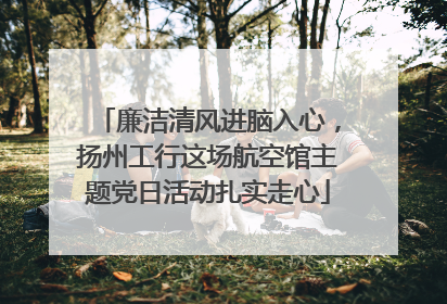 廉洁清风进脑入心，扬州工行这场航空馆主题党日活动扎实走心