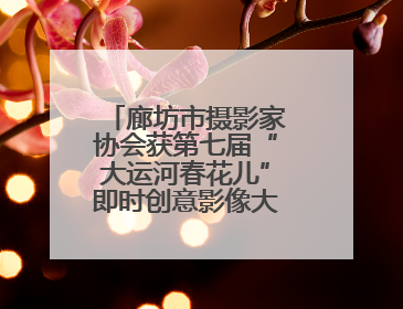 廊坊市摄影家协会获第七届“大运河春花儿”即时创意影像大赛优秀组织奖