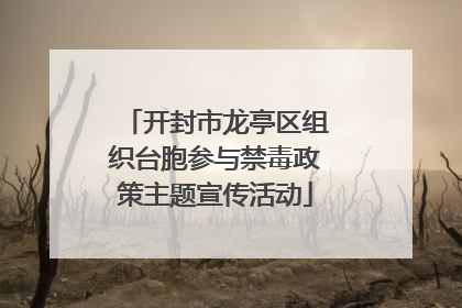 开封市龙亭区组织台胞参与禁毒政策主题宣传活动