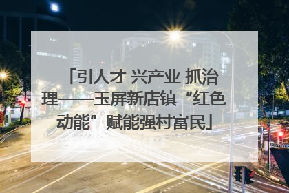 引人才 兴产业 抓治理——玉屏新店镇“红色动能”赋能强村富民