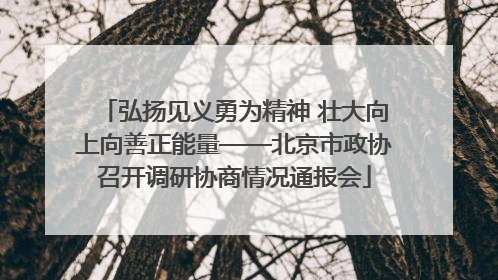 弘扬见义勇为精神 壮大向上向善正能量——北京市政协召开调研协商情况通报会