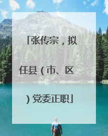 张传宗，拟任县（市、区）党委正职