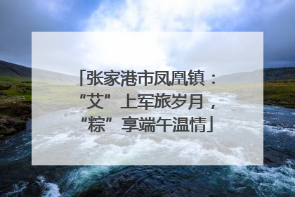 张家港市凤凰镇：“艾”上军旅岁月，“粽”享端午温情