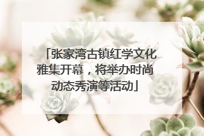 张家湾古镇红学文化雅集开幕，将举办时尚动态秀演等活动
