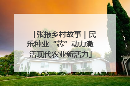 张掖乡村故事｜民乐种业“芯”动力激活现代农业新活力